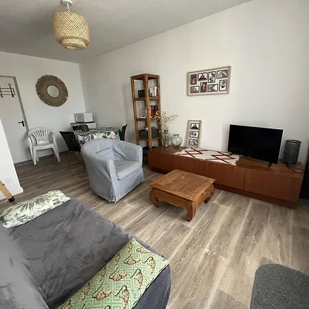T2 A 100m De La Avec Terrasse, Parking Prive Et Animaux Admis - Fr-1-324a-62 Apartment *